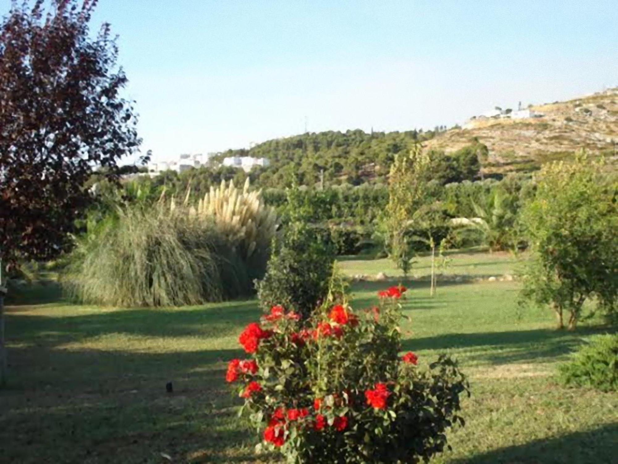 Villa La Piana Di Calena Peschici Exterior foto