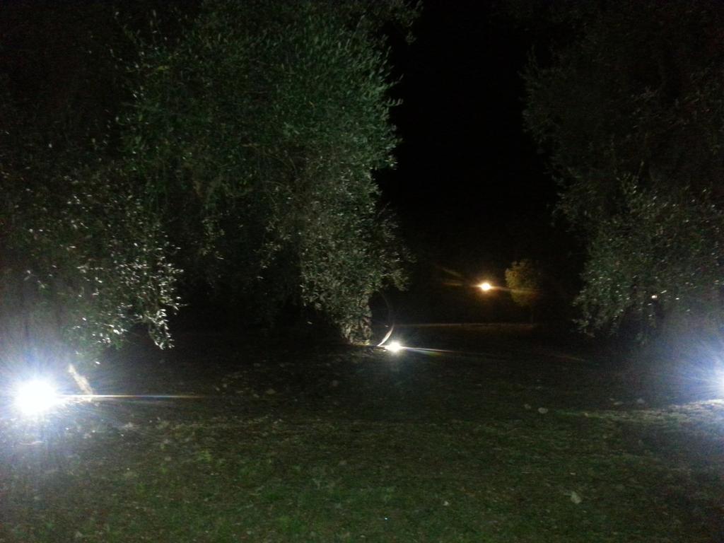 Villa La Piana Di Calena Peschici Exterior foto